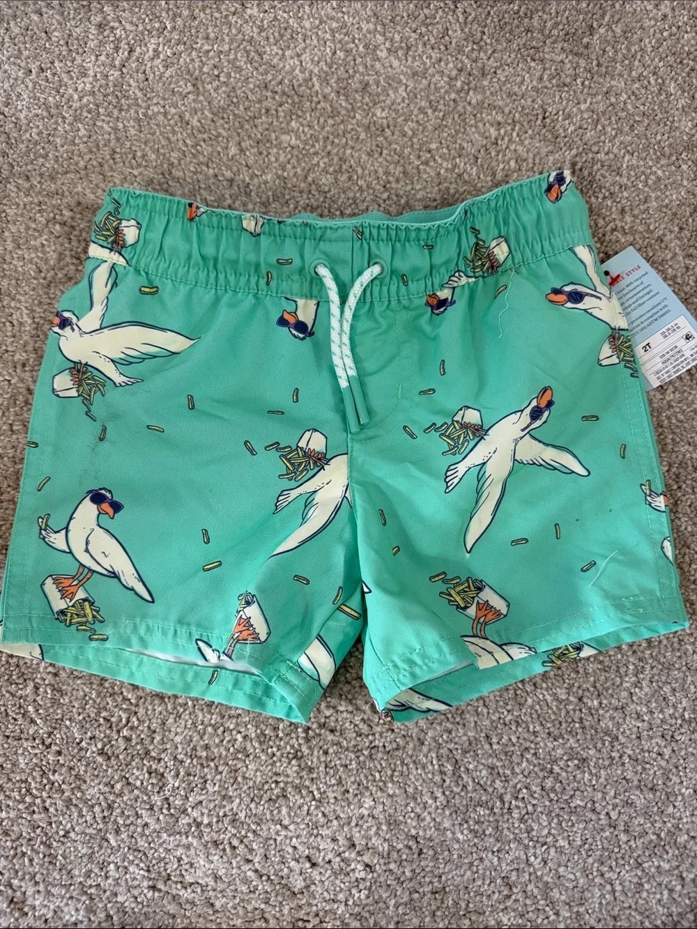 NWT Boys Mint Green Seagull Print Swim Trunks with lining 2T
